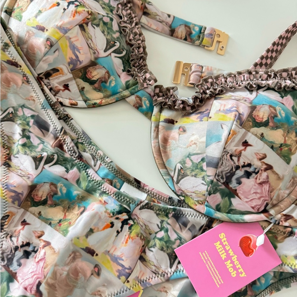 Renaissance strawberry milk mob XL bikini set!🍓